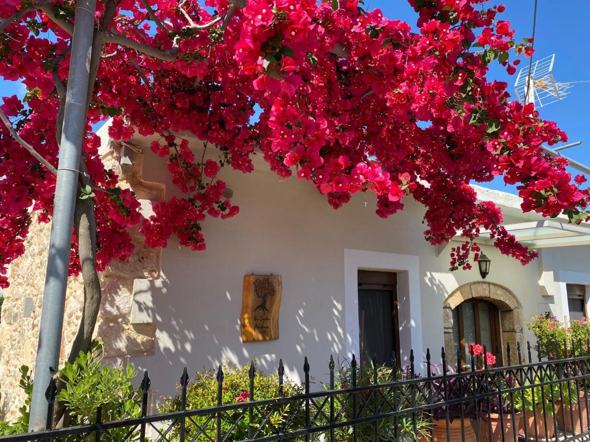 Bio Garden Stonehouse Villa Gonia Exterior photo