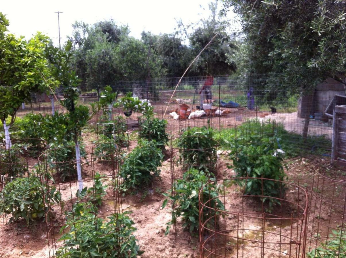 Bio Garden Stonehouse Villa Gonia Exterior photo